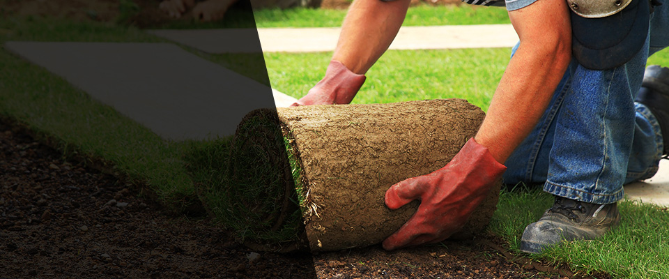 Abilene Landscapers